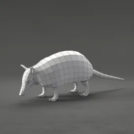 Armadillo